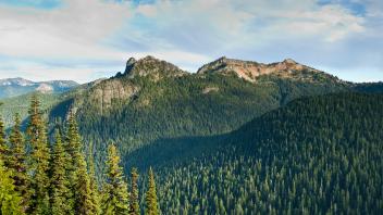mountain and trees photo