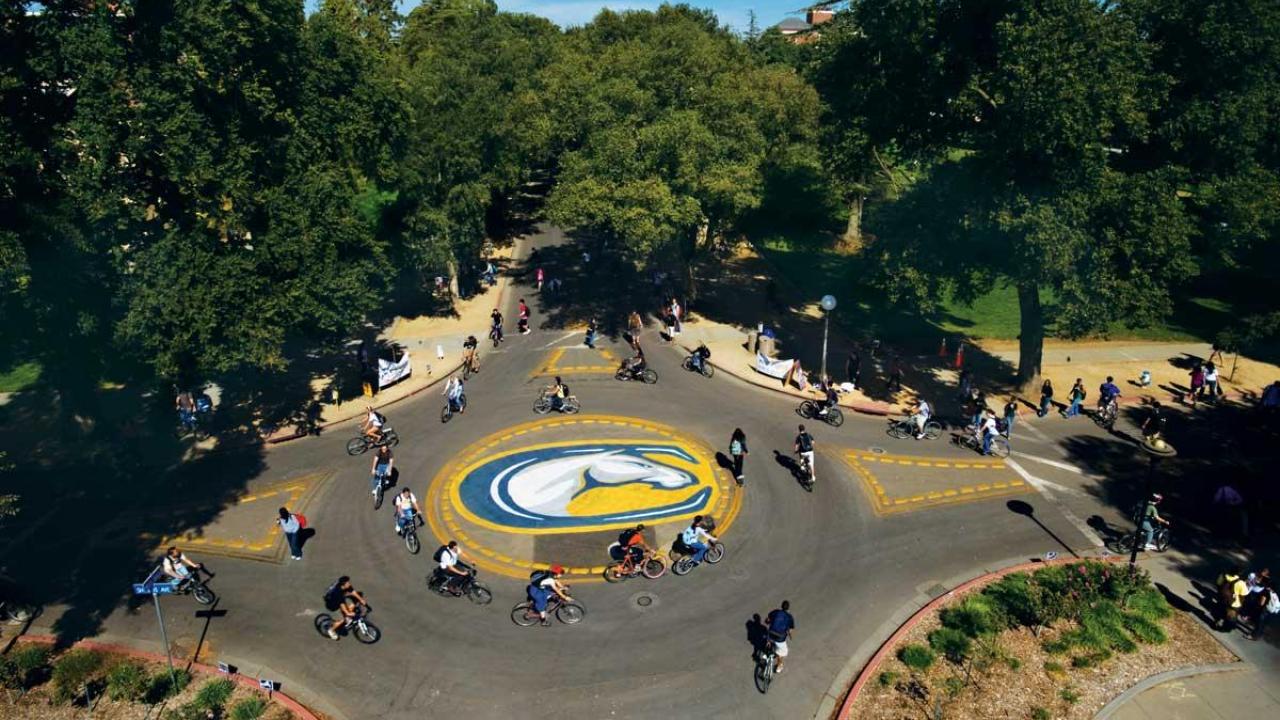 Bike Circle Davis